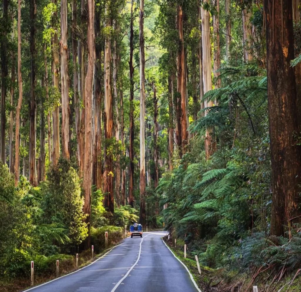 Yarra Ranges