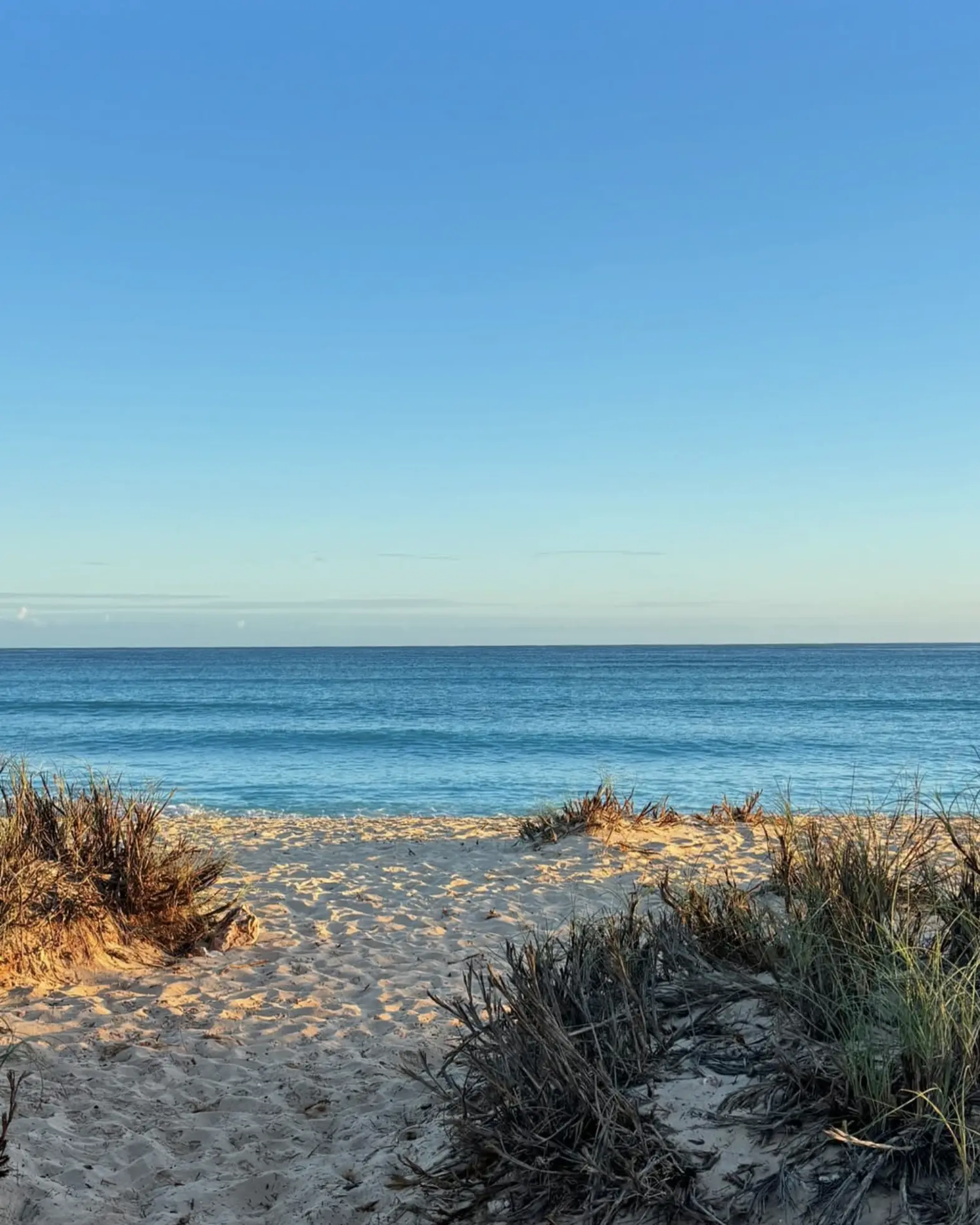 UNESCO World Heritage Shark Bay