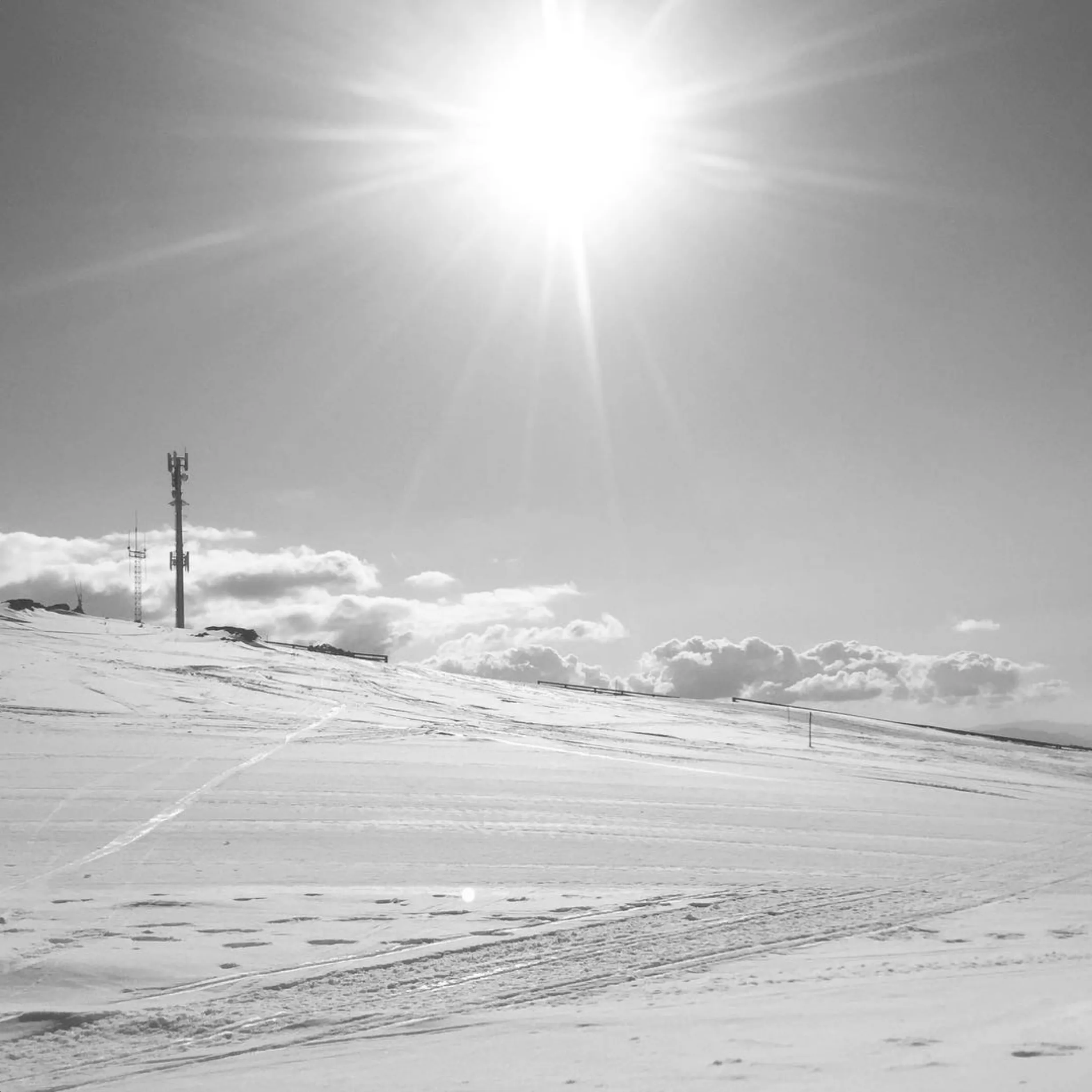 Australian skiers