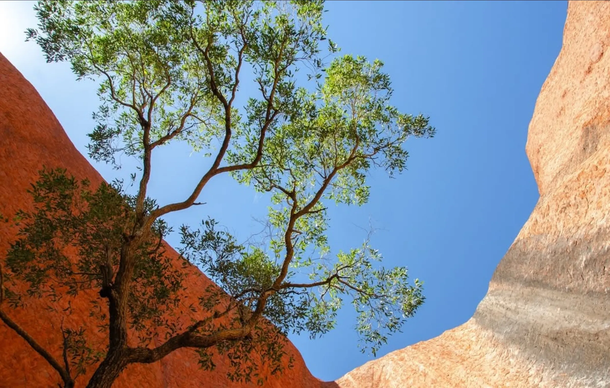 what to pack for Uluru